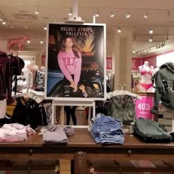 Victoria's Secret & PINK by Victoria's Secret ico