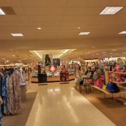Dillard's ico