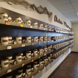 Palmetto Scent Studio - Downtown Charleston ico