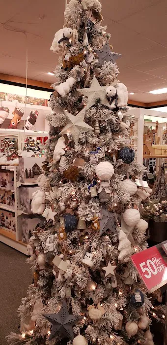 Kohl's 8
