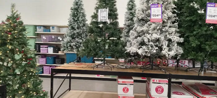 Big Lots 4