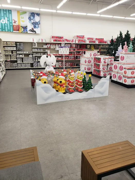 Big Lots 3