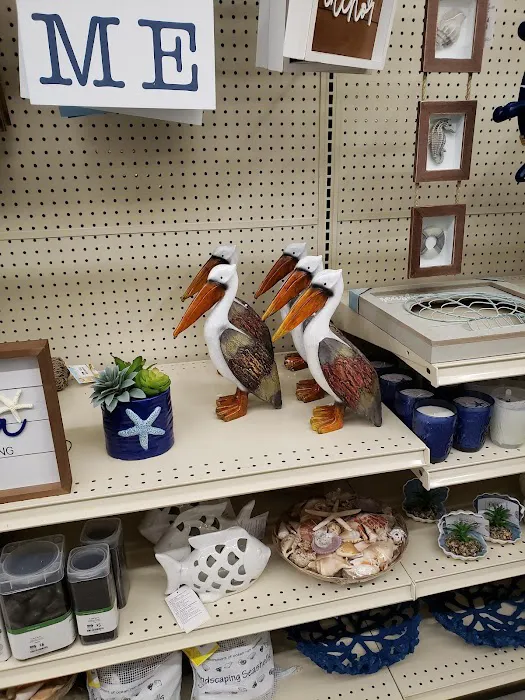 Big Lots 8