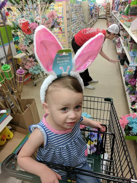 Dollar Tree 7