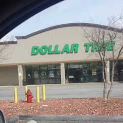 Dollar Tree ico