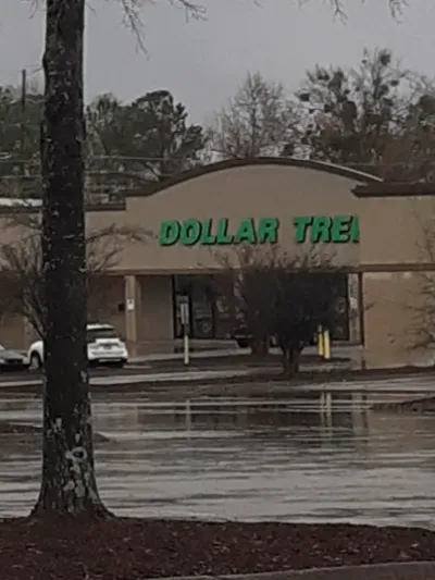 Dollar Tree 9