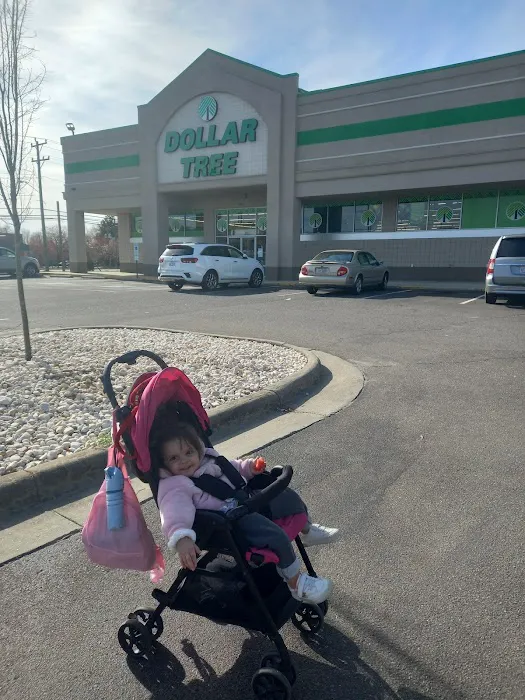 Dollar Tree 7