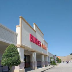 bealls ico