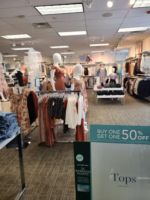 Maurices 3