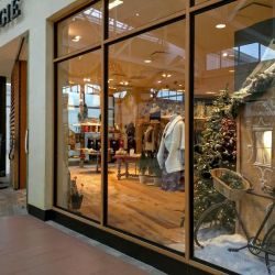 Anthropologie ico