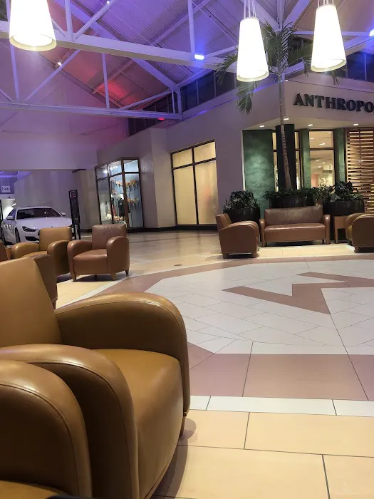 Anthropologie 3