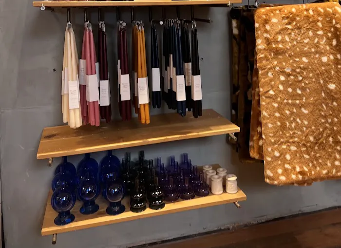 Anthropologie 5