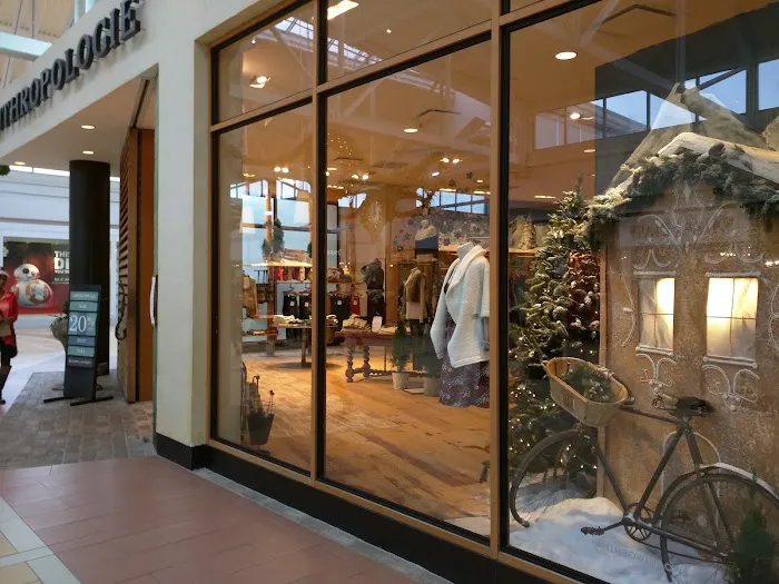 Anthropologie 6