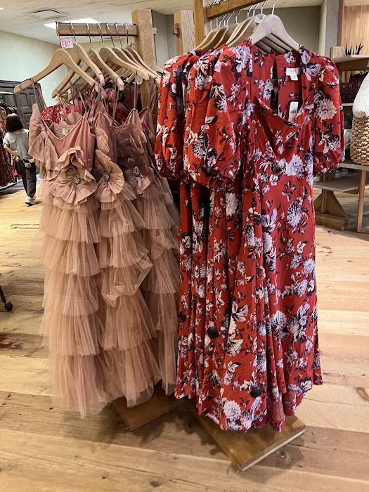 Anthropologie 4