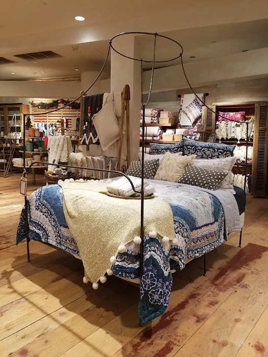 Anthropologie 8