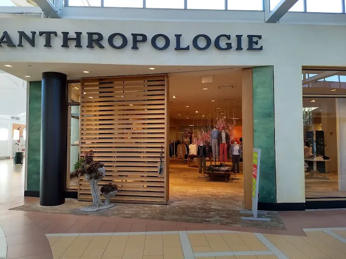 Anthropologie 9
