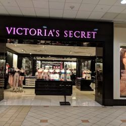 Victoria's Secret & PINK by Victoria's Secret ico