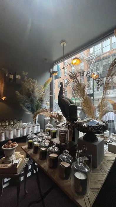Aedes Perfumery 1