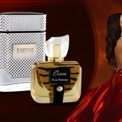 BELLEVUE PARFUM USA LLC ico