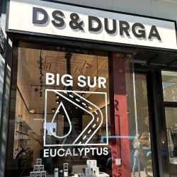D.S. & DURGA ico