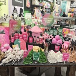 Lush Cosmetics Mall at Bay Plaza ico