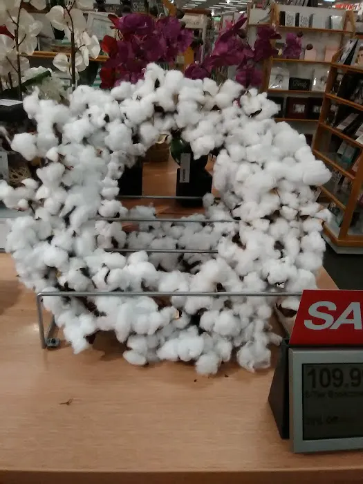 Kohl's 5