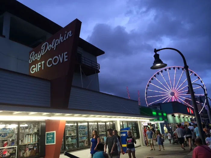Gay Dolphin Gift Cove 0