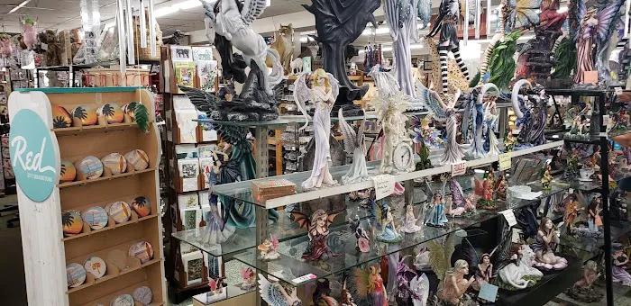Gay Dolphin Gift Cove 5