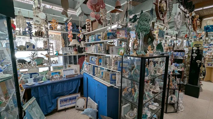 Gay Dolphin Gift Cove 7