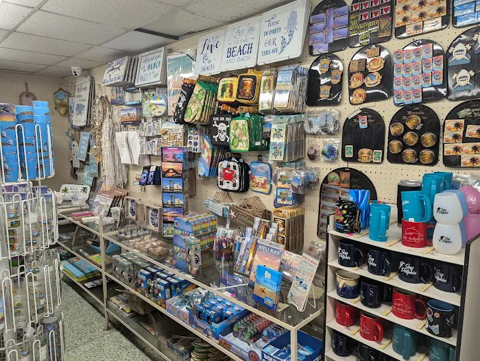 Gay Dolphin Gift Cove 9