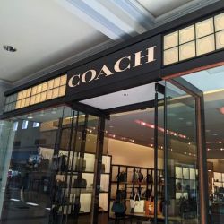 COACH ico