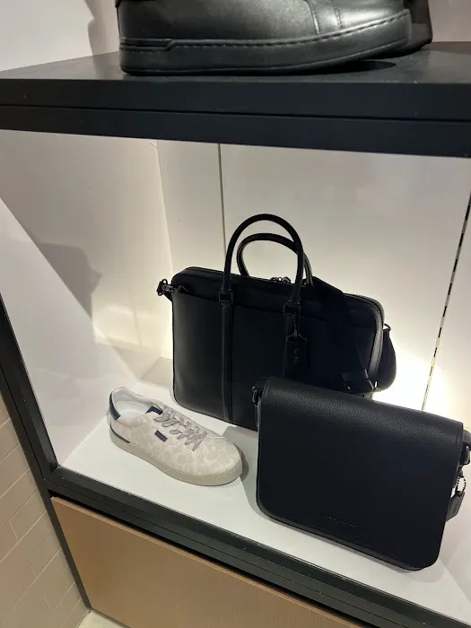 COACH 6