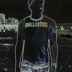 Hollister Co. ico