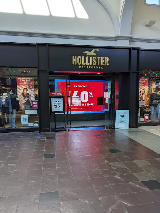 Hollister Co. 4