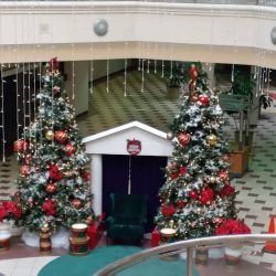 Macy's ico
