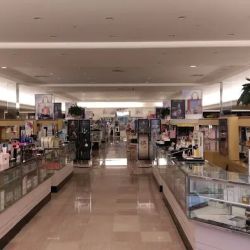 Dillard's ico