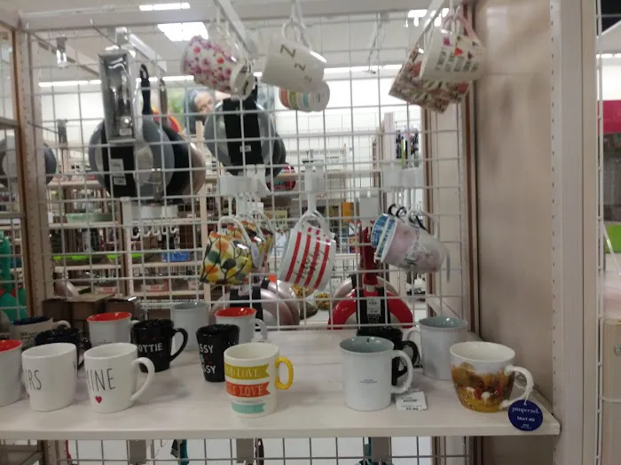 bealls 9