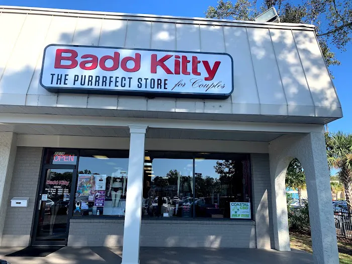 Badd Kitty 2