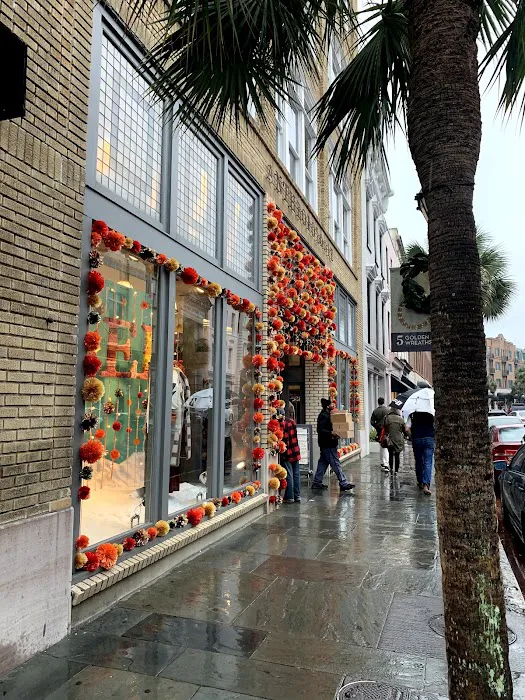 Anthropologie 1