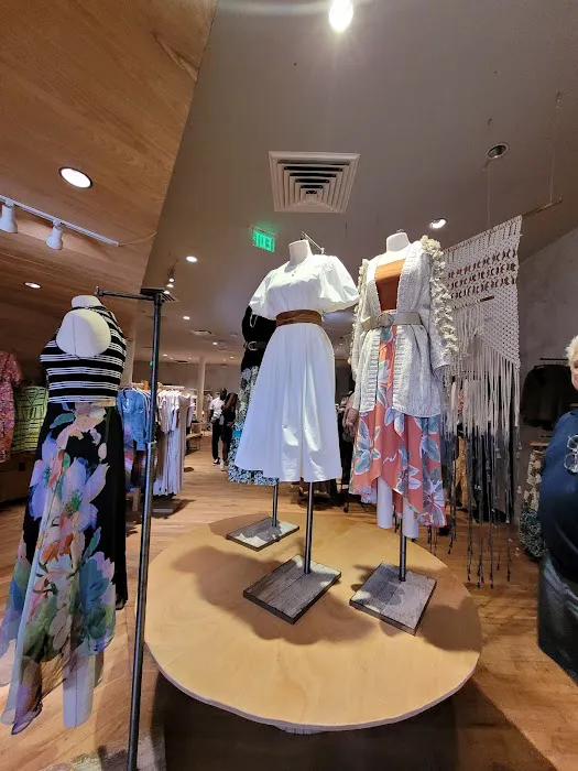 Anthropologie 7