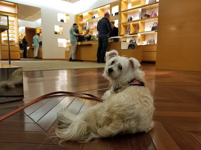 Louis Vuitton Charleston 7