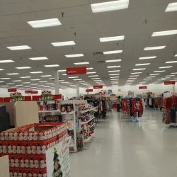 bealls ico