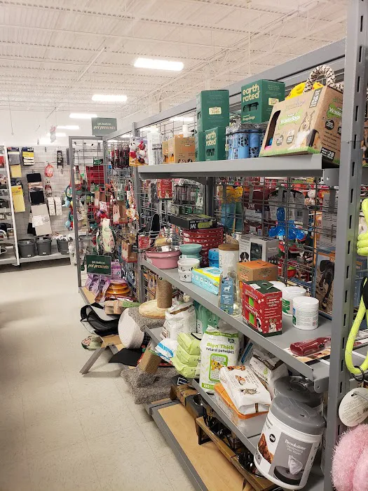 Marshalls 4