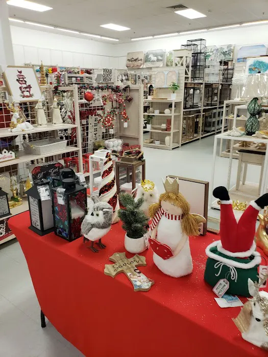Bealls Outlet 5