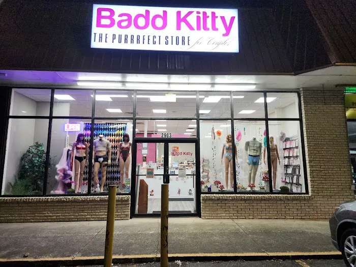 Badd Kitty 2