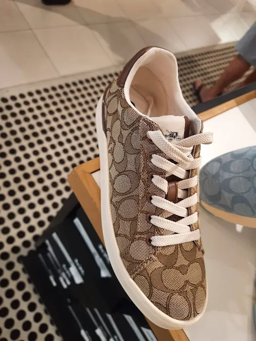 COACH Outlet 8