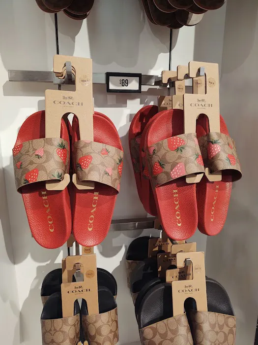 COACH Outlet 7