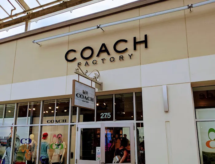 COACH Outlet 6