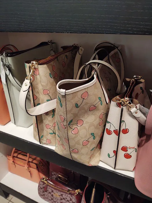 COACH Outlet 9