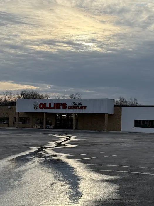 Ollie's Bargain Outlet 9